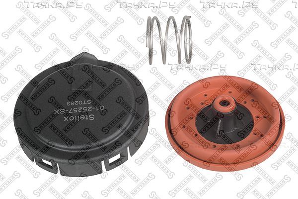 Клапан EGR (рециркуляции выхлопных газов) Stellox для BMW X5 II (E70) 2006-2008. Артикул 01-25257-SX