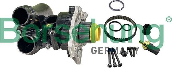 Помпа (водяной насос) Borsehung. Артикул B13224