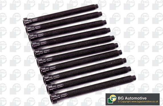 Комплект болтов ГБЦ BGA для Audi A3 II (8P) 2008-2013. Артикул BK2378