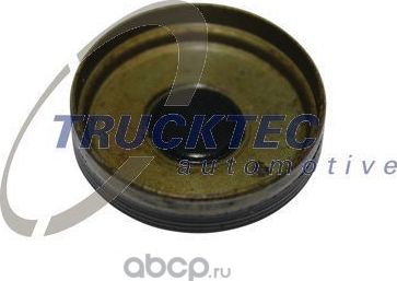 Заглушка распредвала (Trucktec Automotive) Trucktec Automotive. Артикул 02.10.086