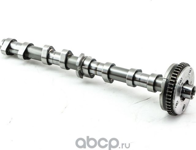 Распредвал (Dominant) Dominant. Артикул AW06H01090021J