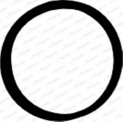 Прокладка впускного коллектора Payen. Артикул JD5107