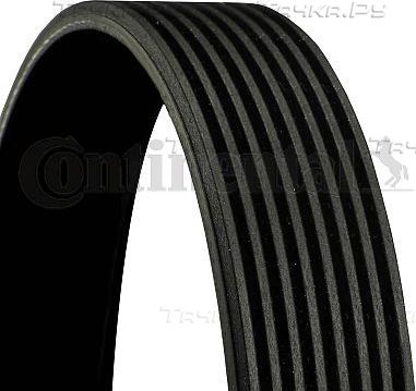 Приводной ремень поликлиновой ContiTech для Mercedes-Benz Atego 2 2004-2013. Артикул 8PK1450