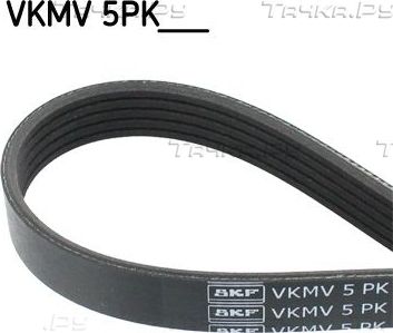 Приводной ремень поликлиновой SKF для Mazda Premacy I (CP) 1999-2005. Артикул VKMV 5PK1030