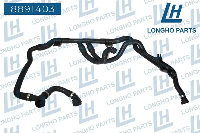 Патрубок резиновый (шланг) BMW 3 (E90) 17127548222 (Longho). Артикул 8891403