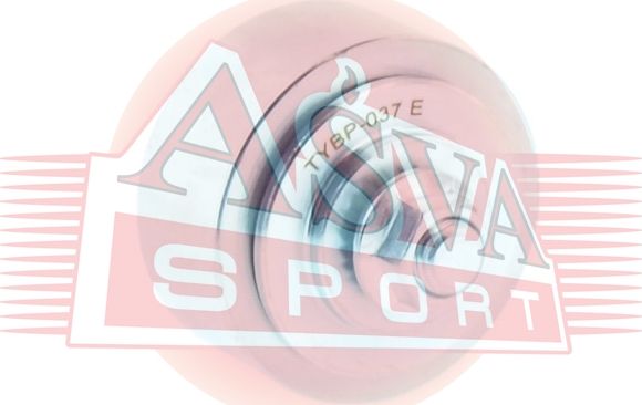 Натяжной ролик (натяжитель) приводного клинового ремня Asva. Артикул TYBP-037