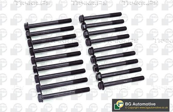 Комплект болтов ГБЦ BGA для Nissan Urvan III (E24) 1988-1997. Артикул BK5332
