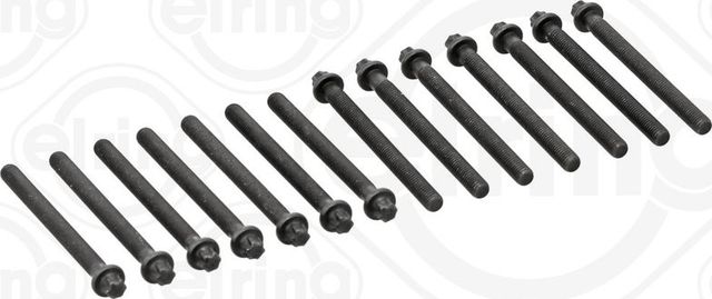 Комплект болтов ГБЦ Elring для BMW 3 IV (E46) 1998-2007. Артикул 802.820