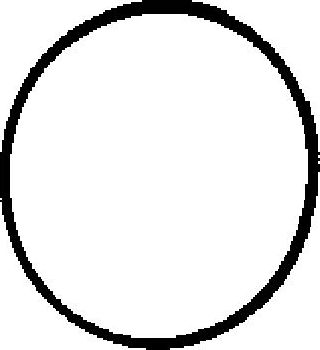 Прокладка впускного коллектора Corteco. Артикул 450562H