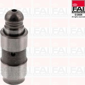 Гидрокомпенсатор FAI AutoParts. Артикул BFS148S
