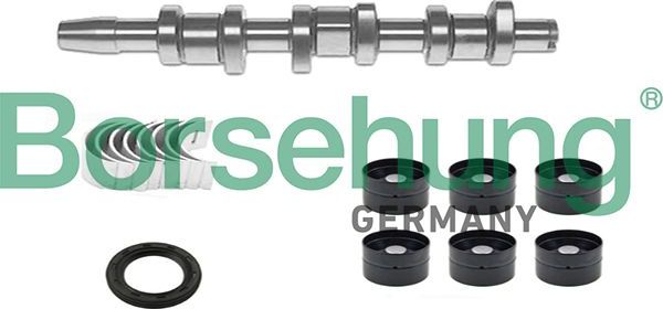 Комплект распредвала Borsehung. Артикул B18665