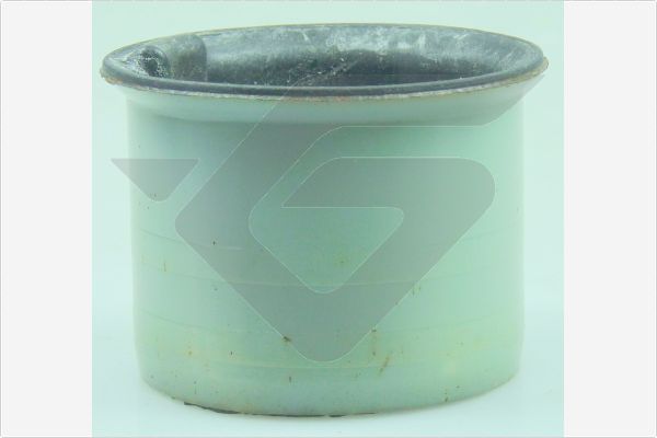 Сайлентблок переднего рычага подвески Hutchinson. Артикул 590395