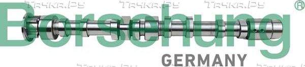 Распредвал Borsehung для Audi A3 II (8P) 2007-2013. Артикул B12297