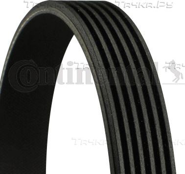 Приводной ремень поликлиновой ContiTech для Jeep Grand Cherokee II (WJ) 1999-2004. Артикул 6PK2241