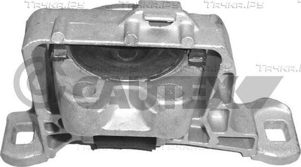 Рычаг задней подвески Cautex верхний для Ford Focus I 1998-2004. Артикул 081029