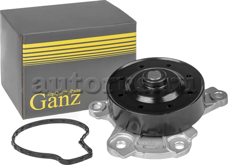 Помпа, водяной насос (Ganz) Ganz. Артикул GIF02063