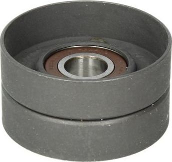 Натяжной ролик (натяжитель) приводного поликлинового ремня BTA для DAF XF 95 2002-2006. Артикул B05-02-020