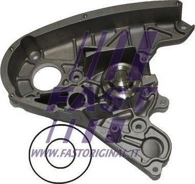 Помпа (водяной насос) Fast для IVECO Daily IV 2006-2011. Артикул FT57135