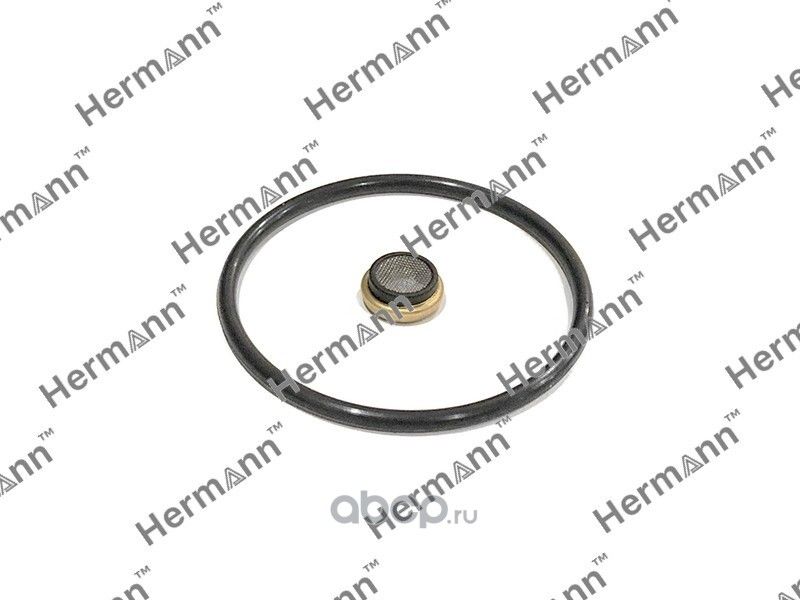 Ремкомплект (Hermann). Артикул HR06H103144F