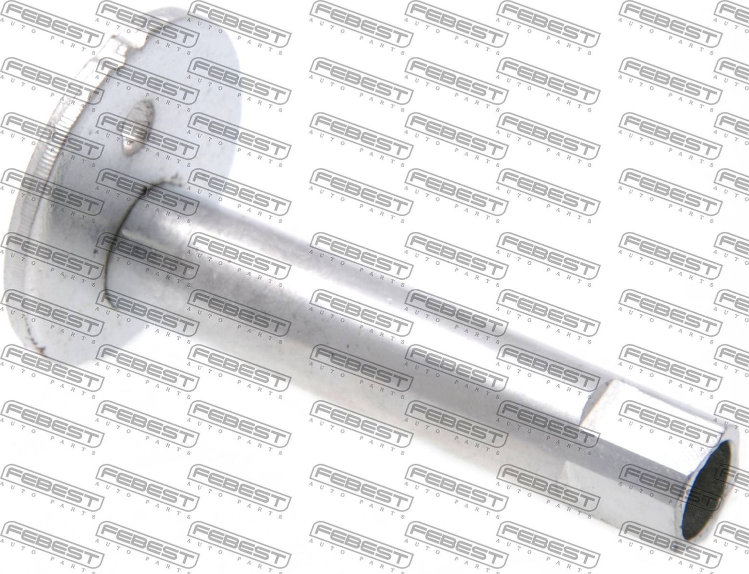 Втулка с эксцентриком TOYOTA LAND CRUISER 96-02 ВТУЛКА С ЭКСЦЕНТРИКОМ Febest. Артикул 0132-002