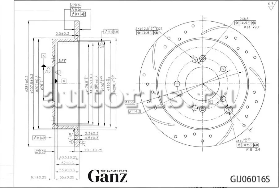 Диск тормозной задний перфорированный PRO-Line с покрытием HYUNDAI Sonata/Tucson (Ganz). Артикул GIJ06016S