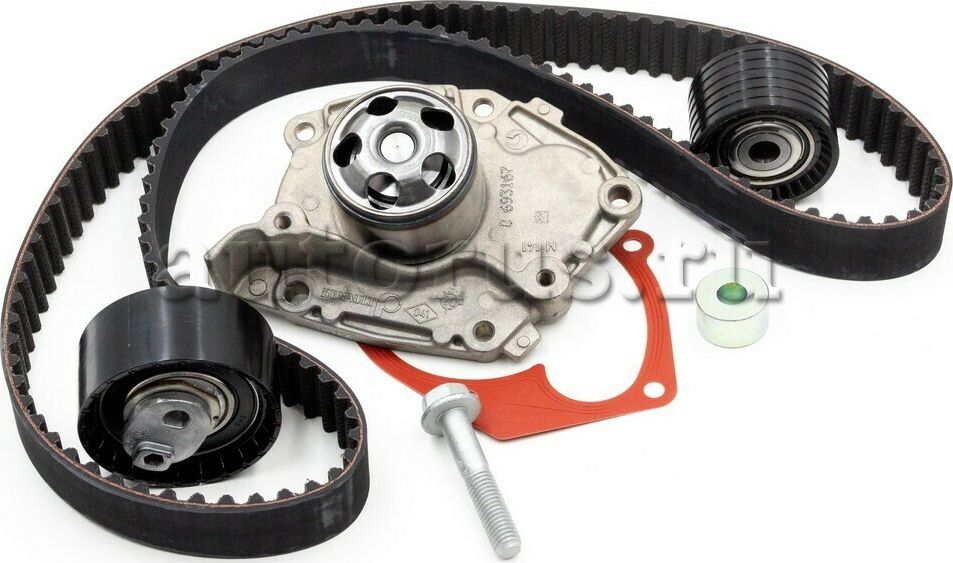 Помпа (водяной насос) с комплектом ремня ГРМ Renault. Артикул 119A06559R