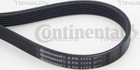 Приводной ремень поликлиновой ContiTech для Honda Accord IX 2012-2026. Артикул 6PK1173