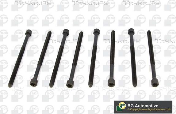 Комплект болтов ГБЦ BGA для Audi SQ5 I (8R) 2013-2017. Артикул BK1315