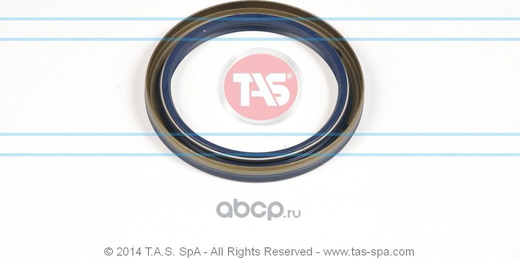 Сальник 75х95х10, 0179973047, 0089972246, 0099971546, 0179978347, 0 (TAS). Артикул T19636