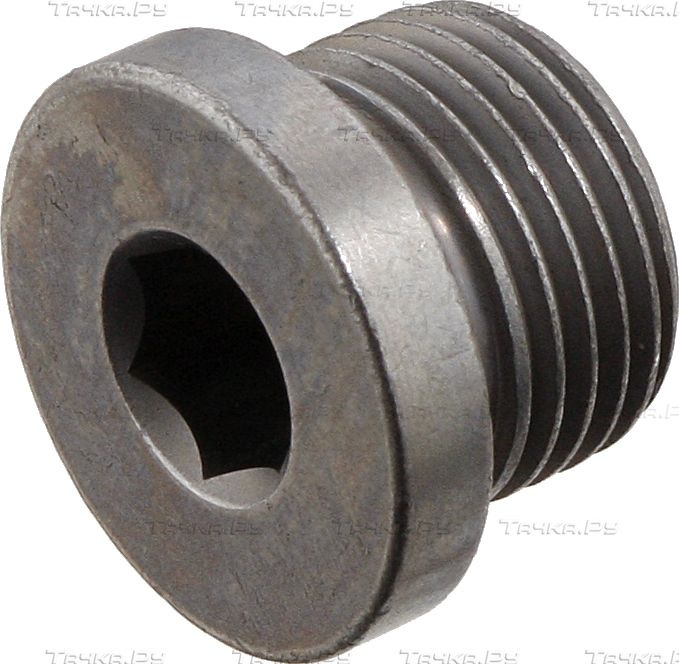 Сливная пробка масляного поддона двигателя Febi Bilstein для BMW X5 II (E70) 2006-2008. Артикул 31702