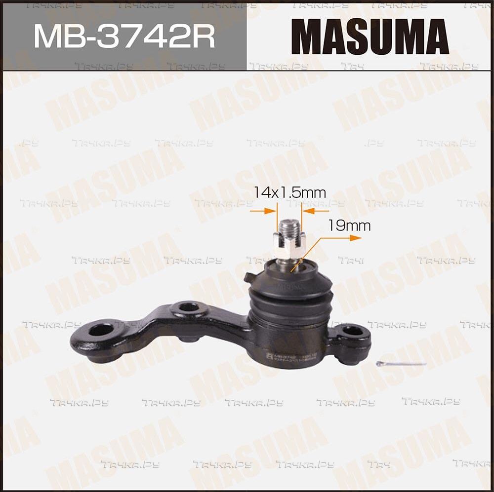 Шаровая опора Masuma передняя передняя правая нижняя для Toyota Chaser V (X90) 1992-1996. Артикул MB-3742R