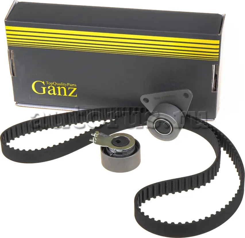 Ремкомплект ГРМ (Ganz) Ganz. Артикул GIE34027