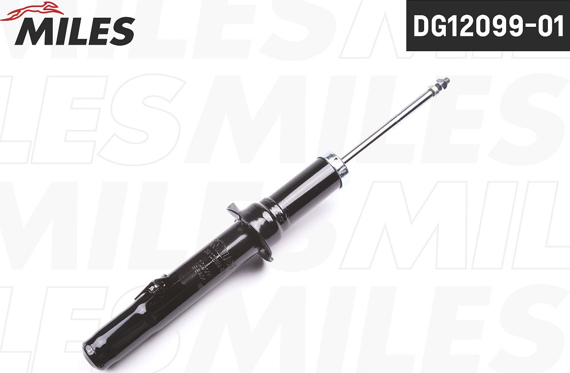 Амортизатор Miles. Артикул DG12099-01