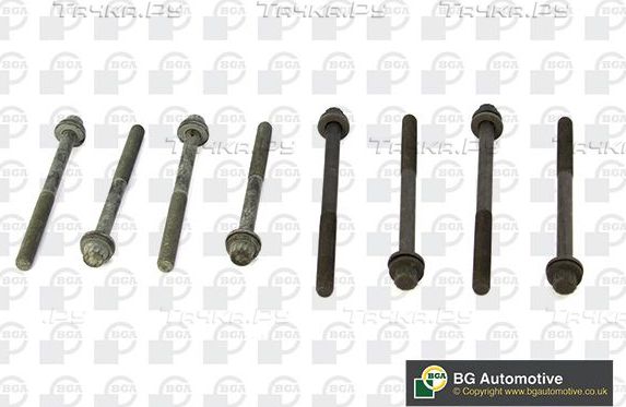 Комплект болтов ГБЦ BGA для Renault Vel Satis I 2002-2009. Артикул BK1398