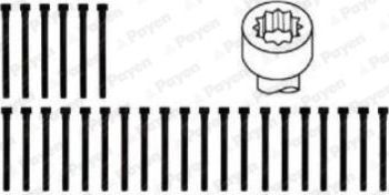 Комплект болтов ГБЦ Payen для PUCH G-modell W463 1996-2000. Артикул HBS063