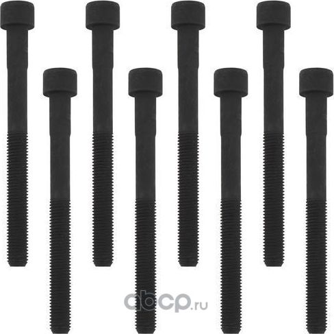 Комплект болтов ГБЦ (Zikmar). Артикул Z16533R