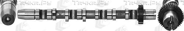Распредвал AE для Audi A6 II (C5) 2002-2005. Артикул CAM934