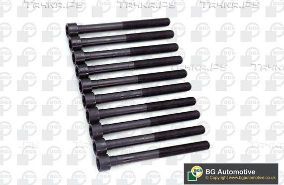 Комплект болтов ГБЦ BGA для Fiat Punto I 1994-1999. Артикул BK6324