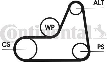 Приводной ремень поликлиновой ContiTech для Ford Focus I 2001-2004. Артикул 6PK1042 ELAST