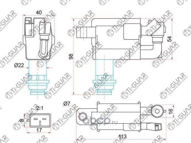 Катушка зажигания (TI-Guar). Артикул TG9091902216