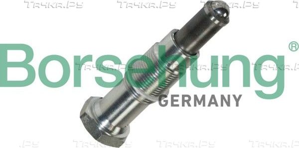 Натяжитель цепи ГРМ Borsehung для BMW X5 II (E70) 2006-2008. Артикул B13307