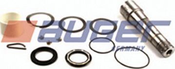 Ремкомплект шкворня поворотного кулака  Auger. Артикул 54239