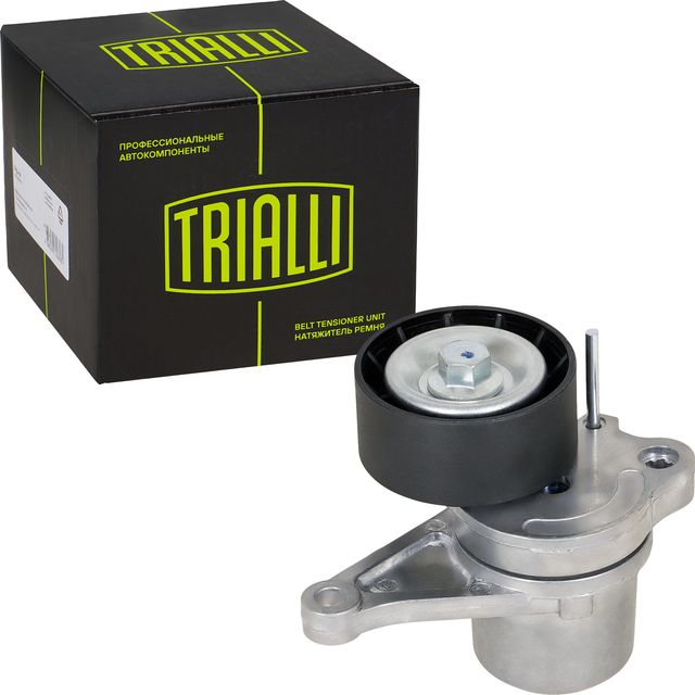 Ролик ремня приводного NISSAN/RENAULT X-TRAIL(T31)/MASTER III 07- с нат.мех. (Trialli). Артикул CM5395