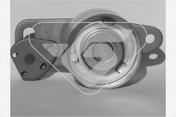 Натяжной ролик (натяжитель) ремня ГРМ Hutchinson для Renault Master I 1980-1998. Артикул HTG 26