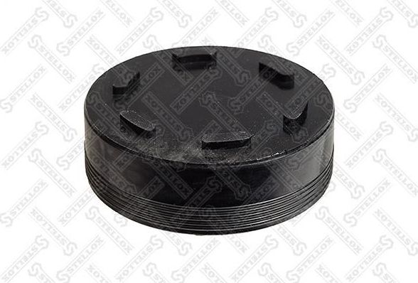 Заглушка головки блока цилиндра d 46.85мм Volkswagen Passat/Phaeton/Touareg 2.5- (Stellox) Stellox. Артикул 75-52756-SX