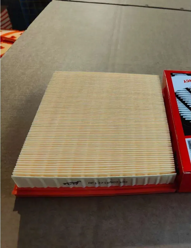 Фильтр воздушный (Tuyi). Артикул AF13718507320