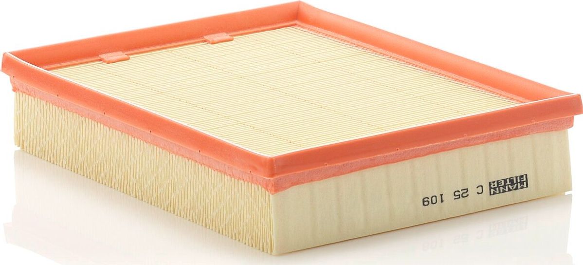 Воздушный фильтр Mann-Filter. Артикул C 25 109