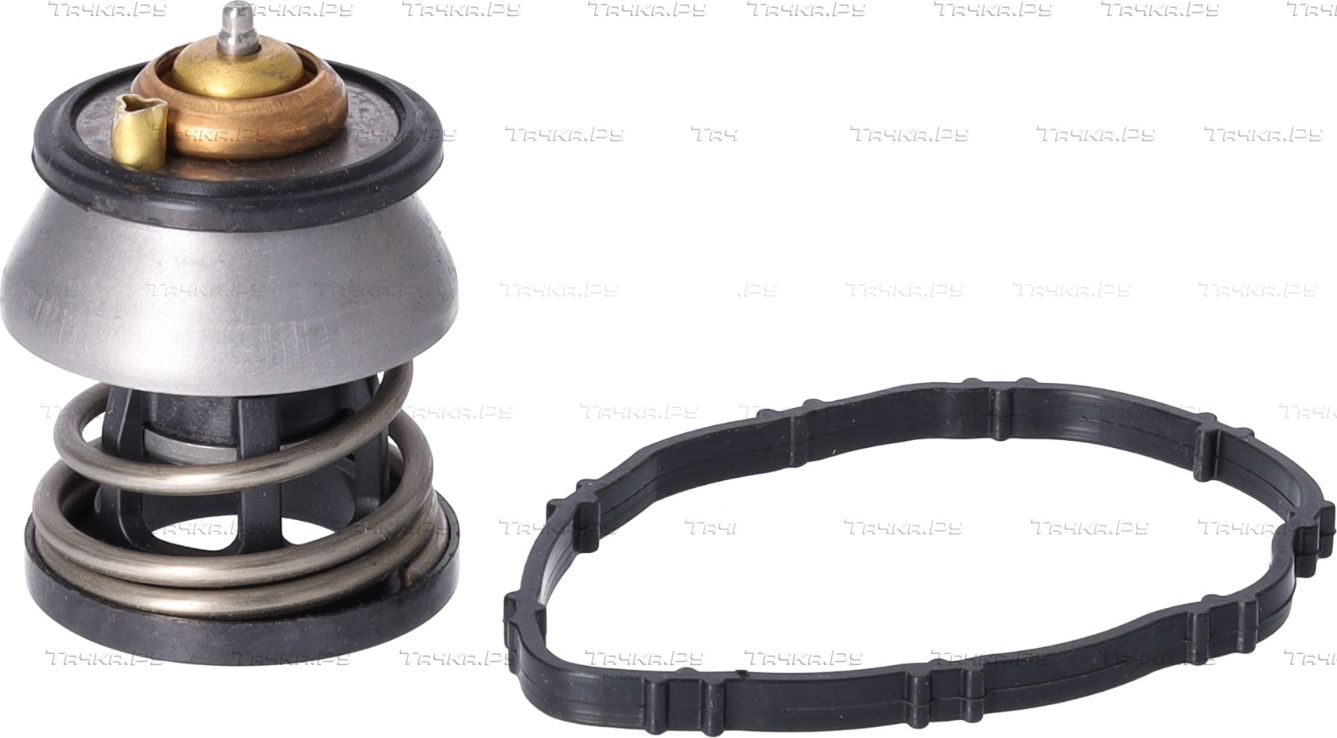 Термостат Febi Bilstein для BMW 5 VI (F10/F11/F07) 2013-2017. Артикул 179798