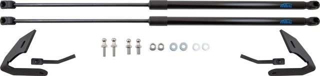 Амортизаторы (упоры) капота Arbori для Chery Tiggo 2 Pro (J69) 2021-2026. Артикул ARBORI.HD.017103