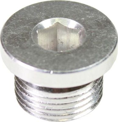 Сливная пробка масляного поддона двигателя Birth. Артикул 40512